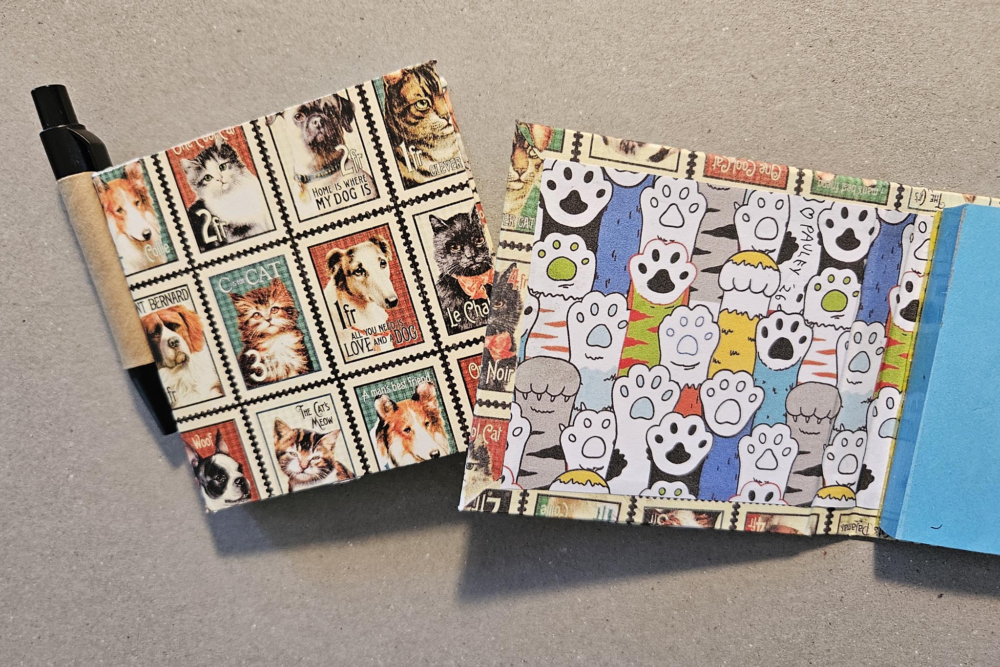Cats and Dogs